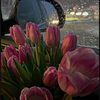 imane_g24
