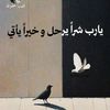 toootaa.ana2