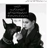 meena87905