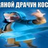 user5441810450024
