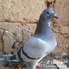 moussa.ndiaye4354