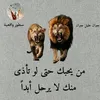 user7552098721205