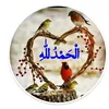 user5846820616766