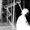 silvxyz08