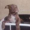 user5781101984109