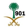 alsom581