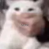 wikensoppor_