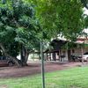 arenas_12341