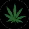 __diaz__6