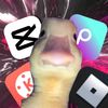 zanndong