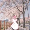 jenny.lee860