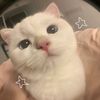 babesyantom