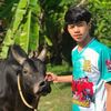 katawut898