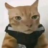 satria_aaaaaaaa