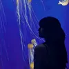 totika_0