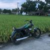 bedul_135