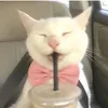 yumifayh_