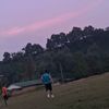 savyalama7