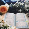 ghafoor3343