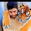 arman.ali96293