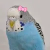 mono_v7