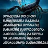 skorp7389