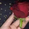 kcha.wrdila6626