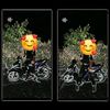 satriasatria7713