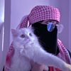 sam_isru269