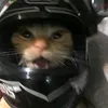 tiktok.com124sn