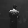 solofedez