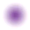 user233181752704
