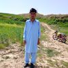 shaban.kayani7