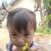 acun.cun3