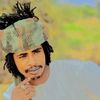 user80232287969417