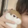 koanh084