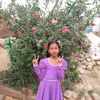 krishastha65