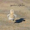 www.salim5