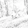 anonyme28081