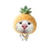 user11123497