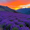 spring_mabell