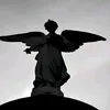 angel64721