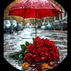 arishma227