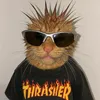 midiadmsslk