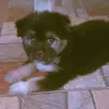 xiao.xiao0381