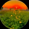 raiahsankharal58