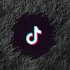 user80280884677100