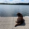 minnesotamomoftwo