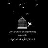 user4747542996170
