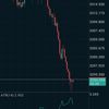 jasajokitraderforex